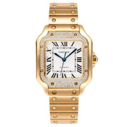 Cartier Santos de Cartier