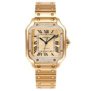Cartier Santos de Cartier