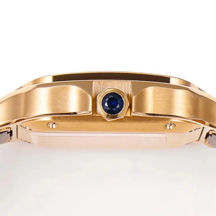 Cartier Santos de Cartier