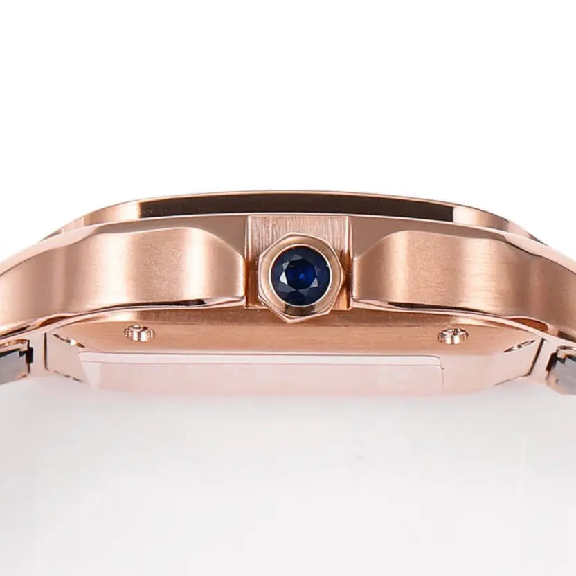 Cartier Santos de Cartier