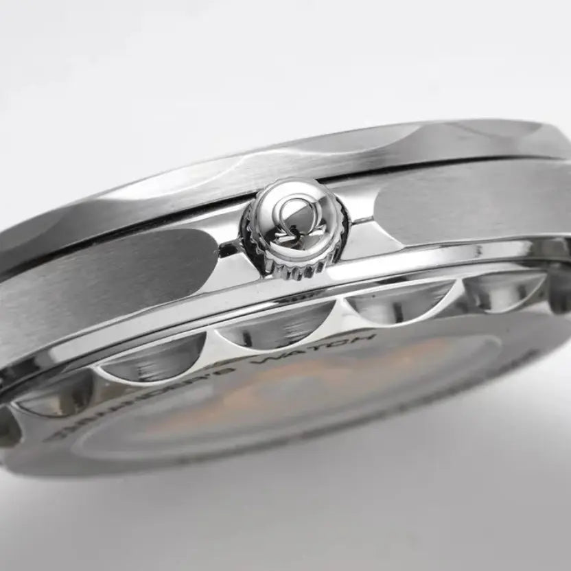 Omega Seamaster Diver 300M "Commander's Watch"