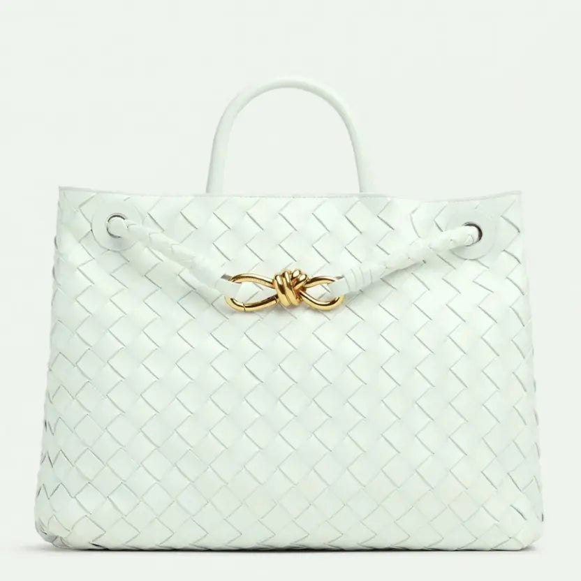 Boutique Quality || Bottega Veneta Small Andiamo Bag Glacier
